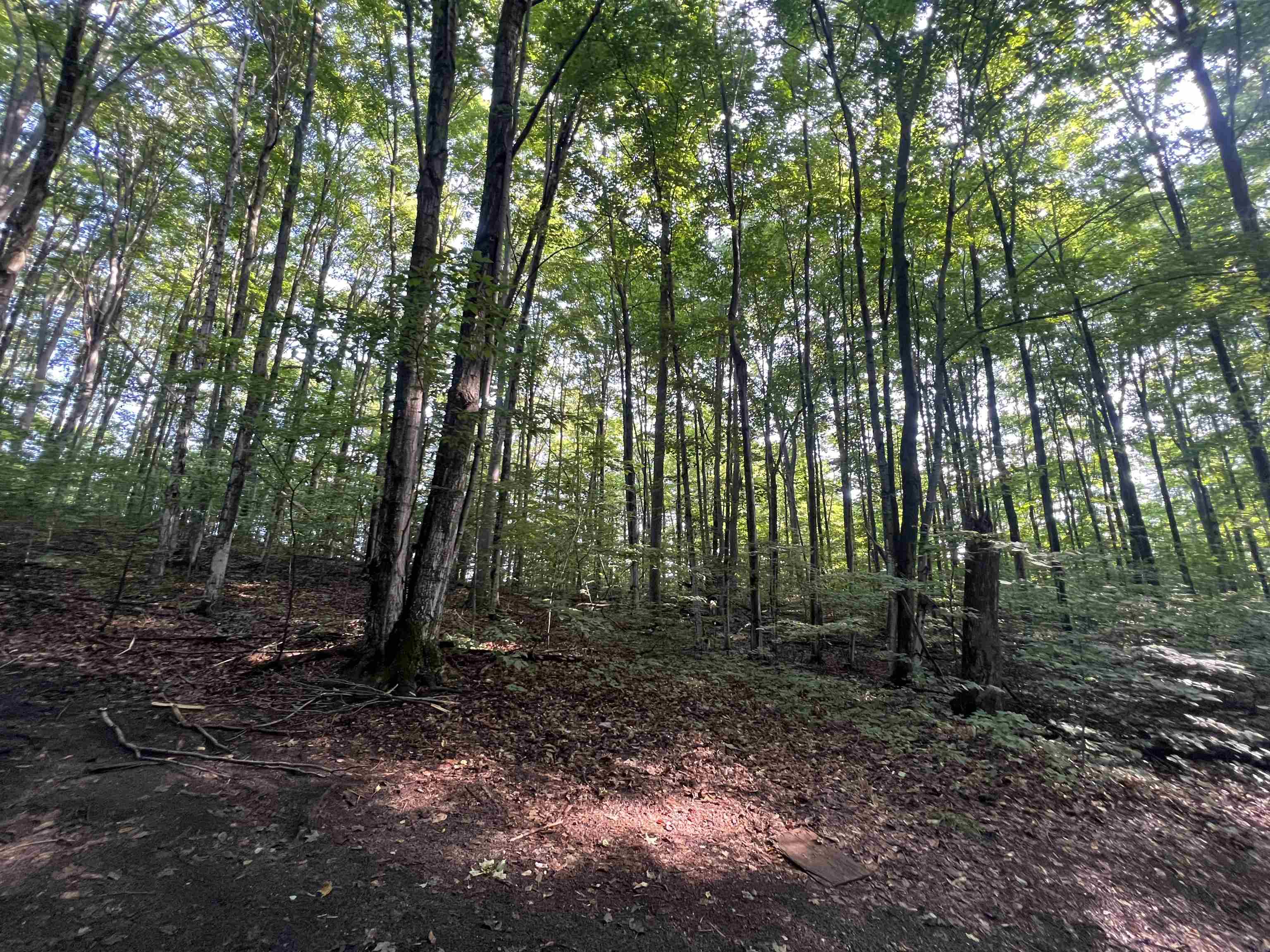 0 Narrow Gauge Road, Unit PARCEL B Beulah, MI 49617 - Photo 2 of 6