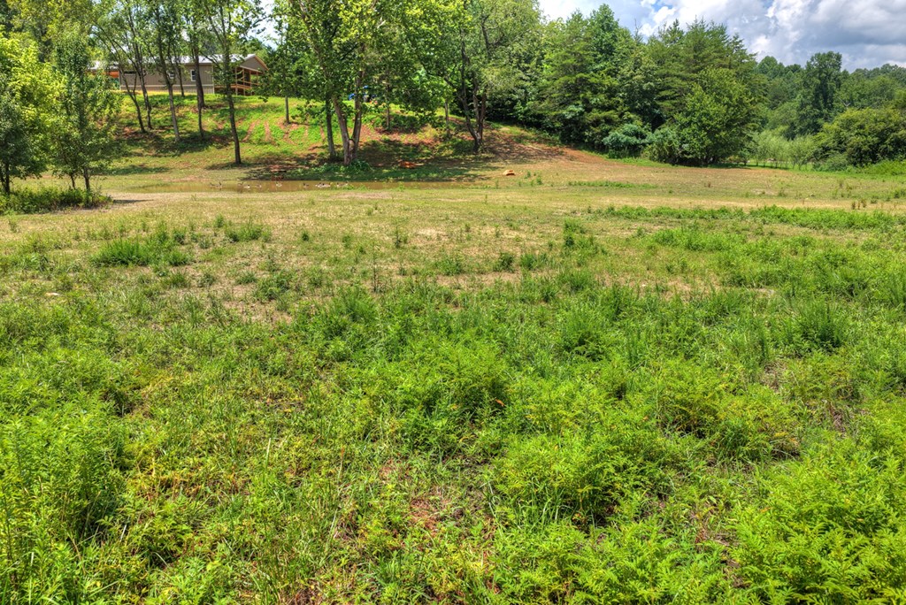 2125 Shady Grove Road Murphy, NC 28906 - Photo 45 of 61 Gallery Image 45