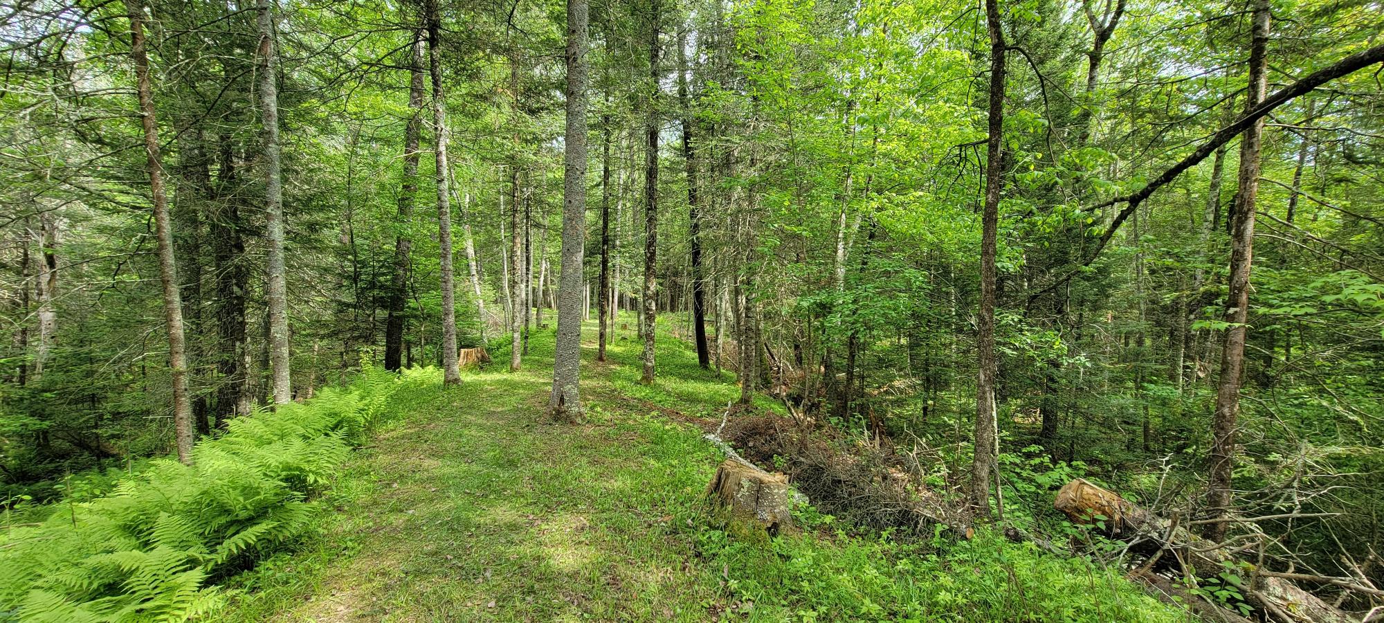 8-acres Sugar Bush Road Park Falls, WI 54552 - Photo 14 of 39 Gallery Image 14