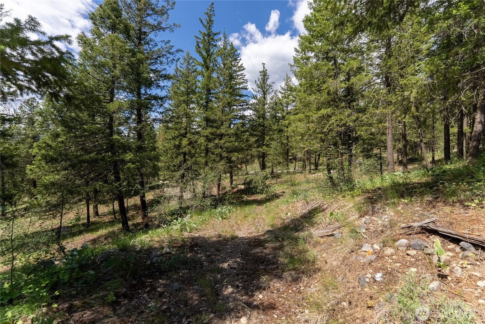6 Homestead Road Winthrop, WA 98862 - Photo 25 of 40 a view of a yard with a tree