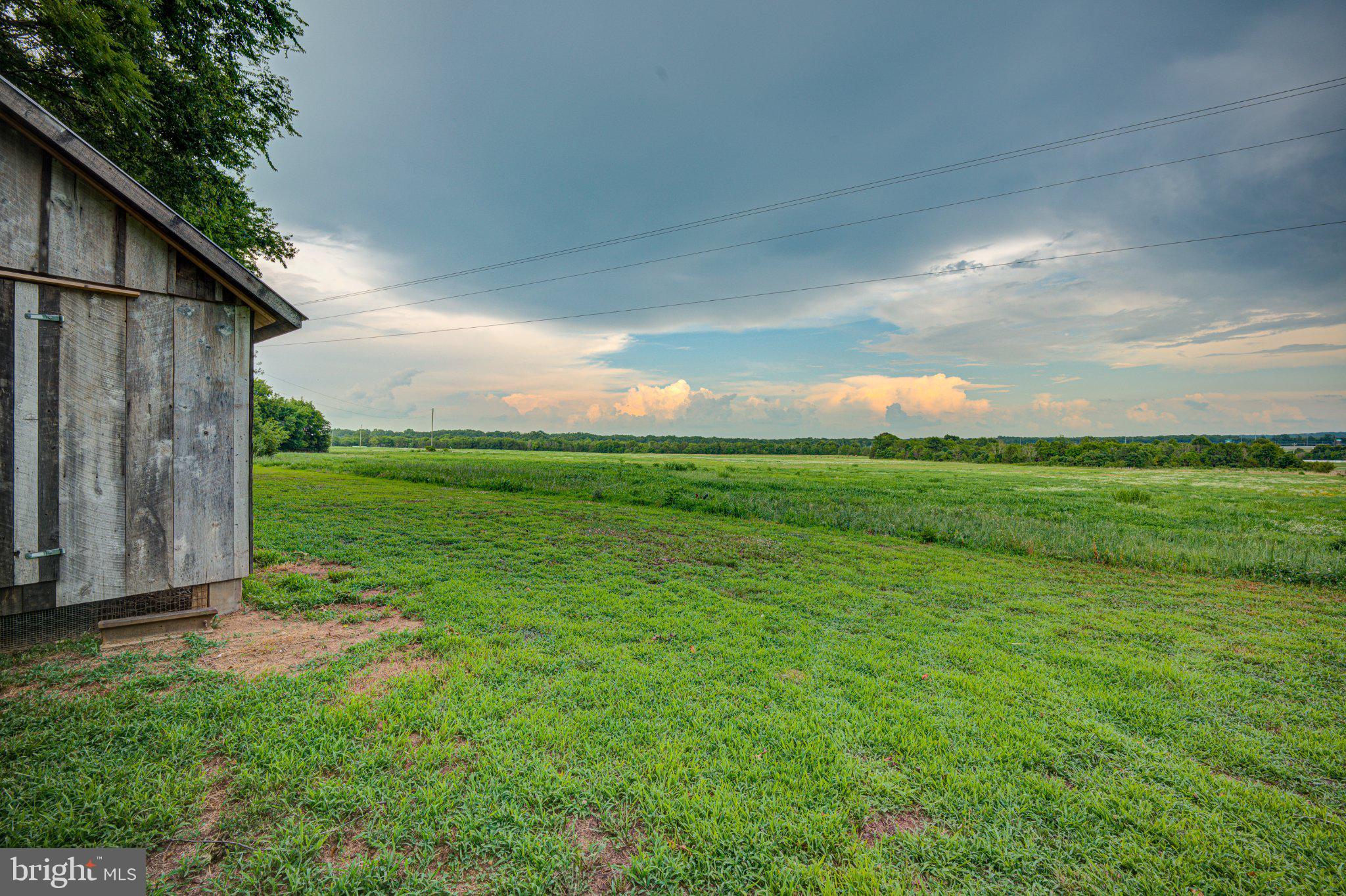 24177 Rapidan Road Mitchells, VA 22729 - Photo 40 of 43 Serene countryside under moody skies.