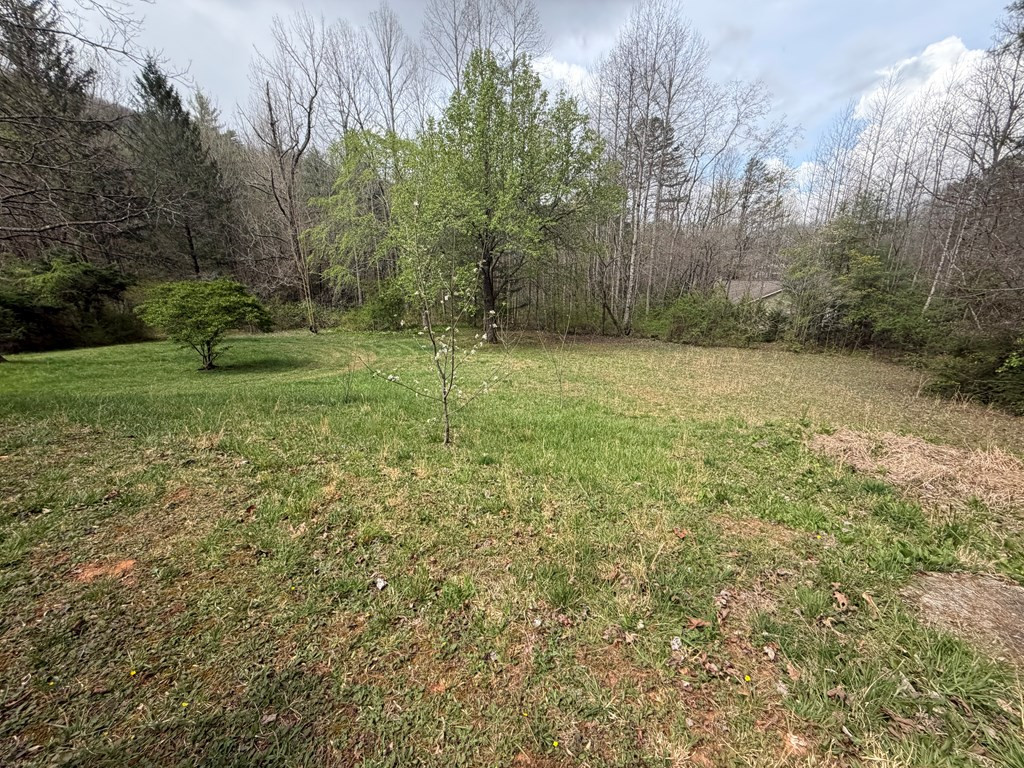 8158 Beaver Dam Road Murphy, NC 28906 - Photo 14 of 21
