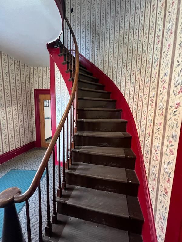 thumbnail_IMG_7331_1765395176465