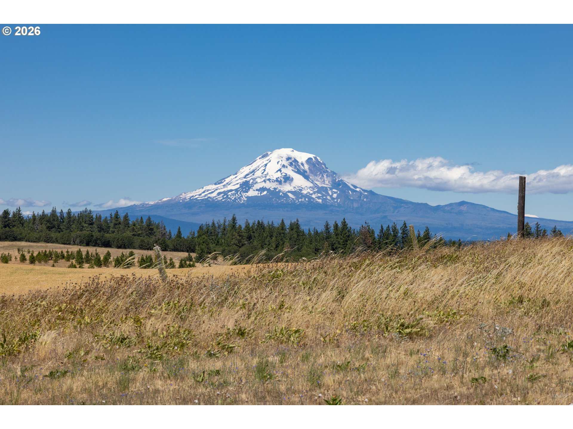 180 Hartland Road Lyle, WA 98635 - Photo 15 of 42