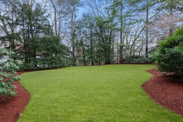 a view of a garden with trees