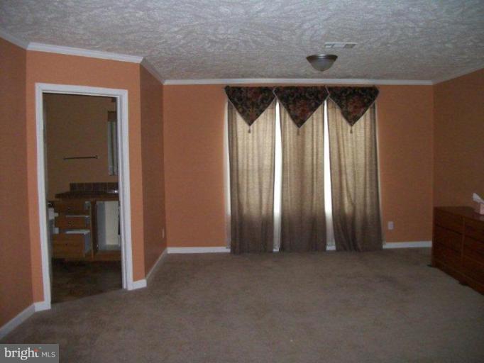17429 North Merrimac Road Culpeper, VA 22701 - Photo 4 of 9 Master Bedroom