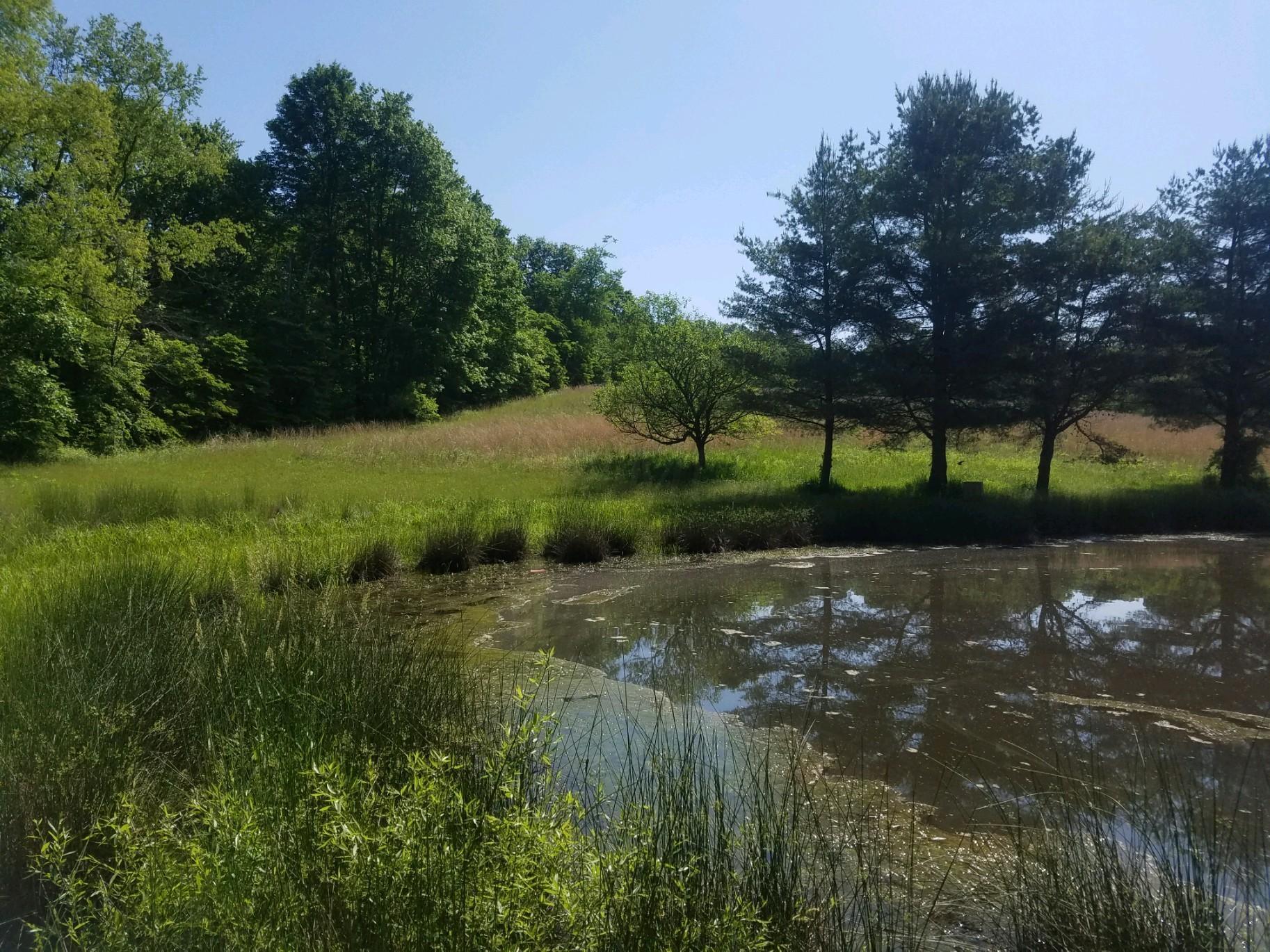 0 Giffin Road Cutler, OH 45724 - Photo 2 of 9