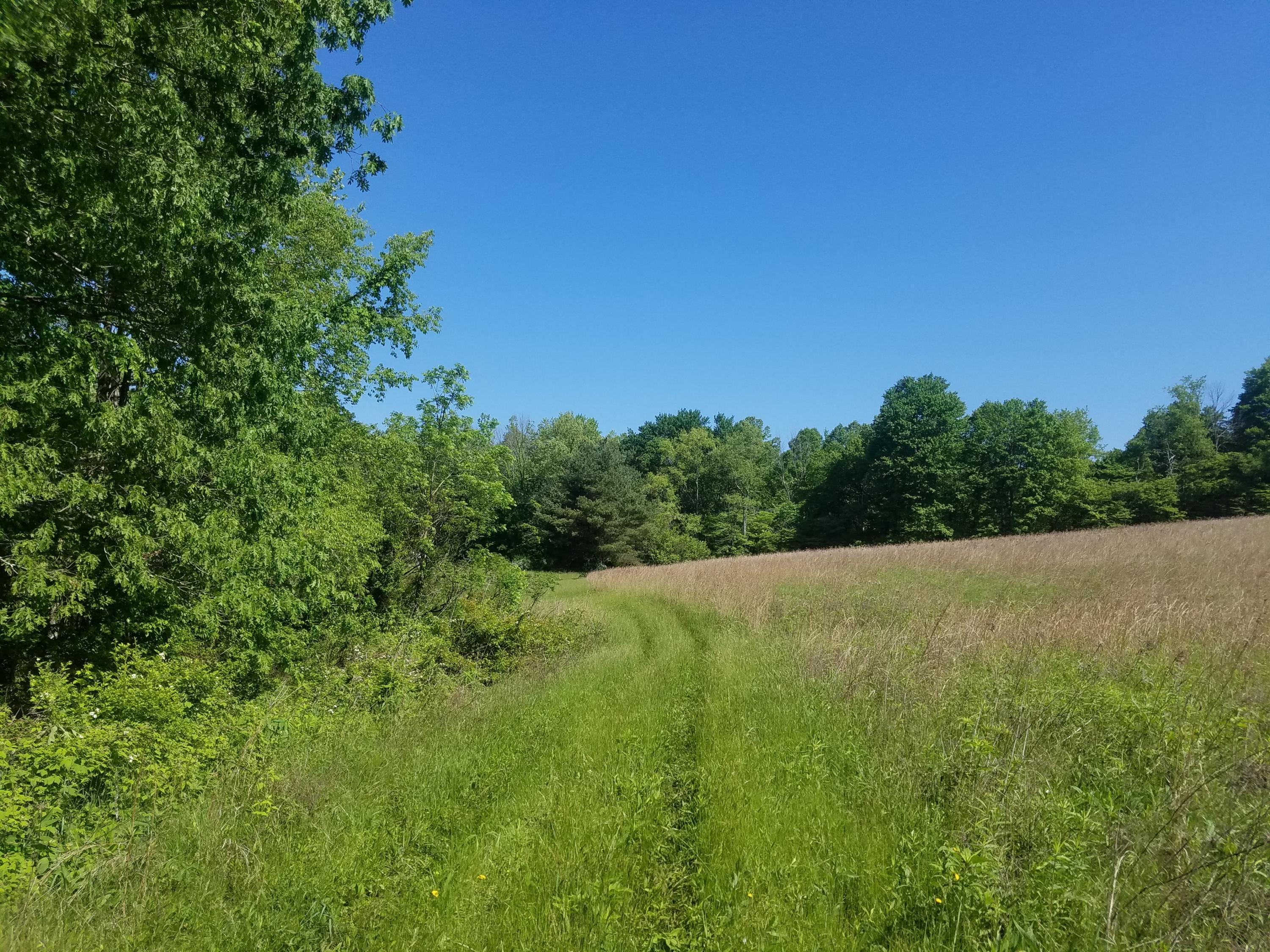 0 Giffin Road Cutler, OH 45724 - Photo 6 of 9