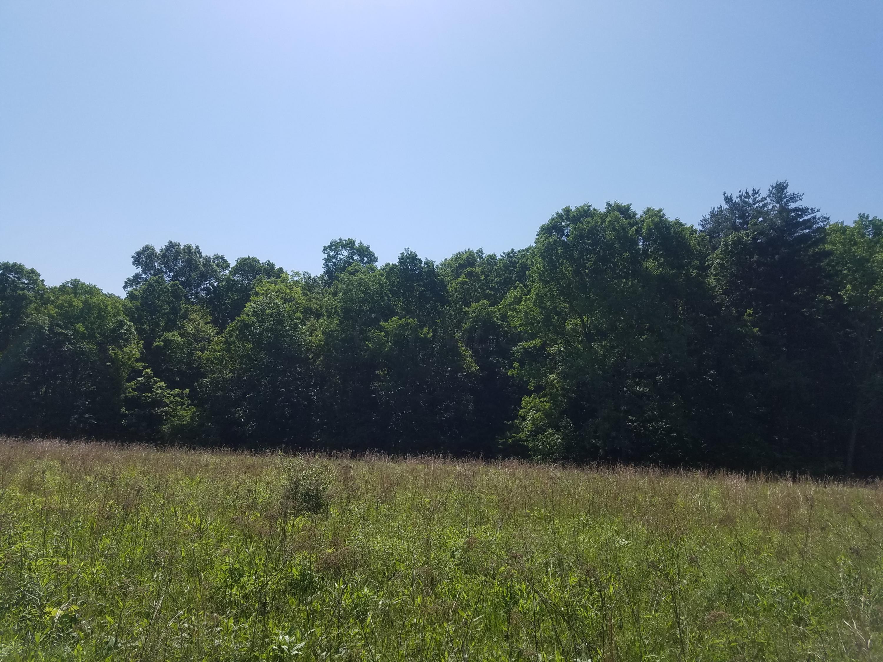0 Giffin Road Cutler, OH 45724 - Photo 7 of 9