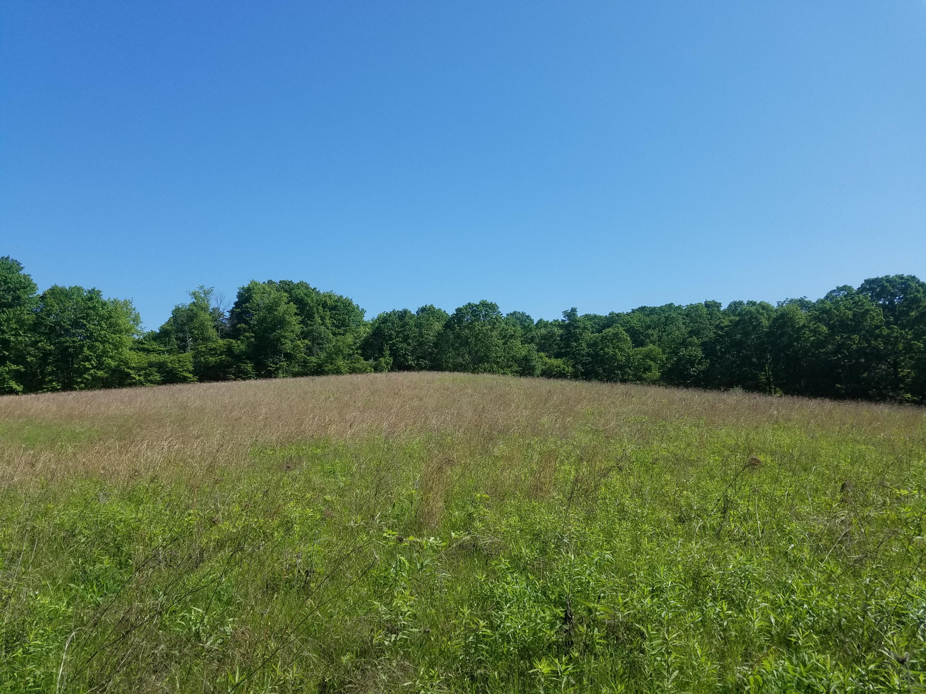 0 Giffin Road Cutler, OH 45724 - Photo 9 of 9