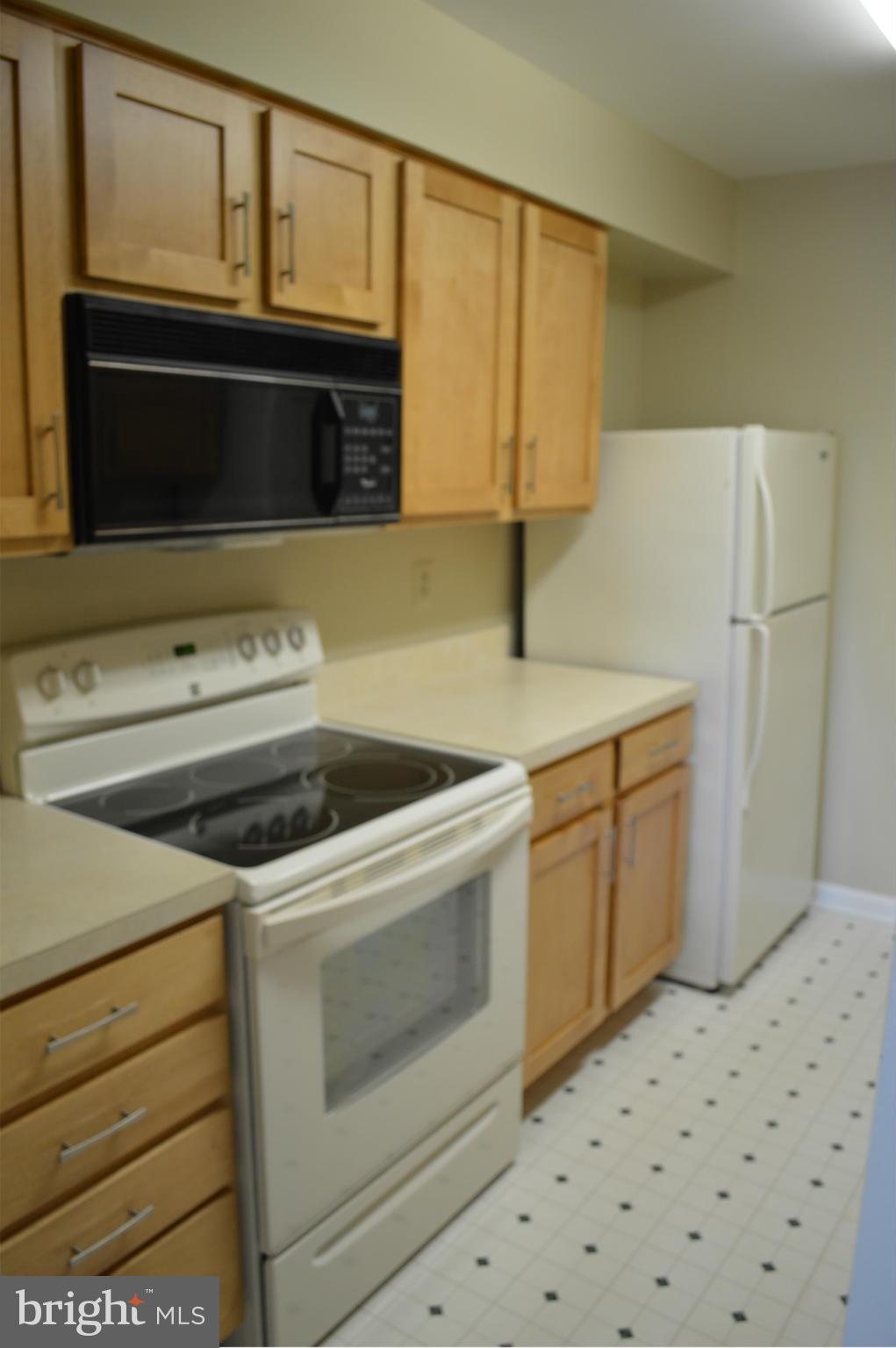 8495 Falls Run Road, Unit D Ellicott City, MD 21043 - Photo 6 of 21 Kitchen