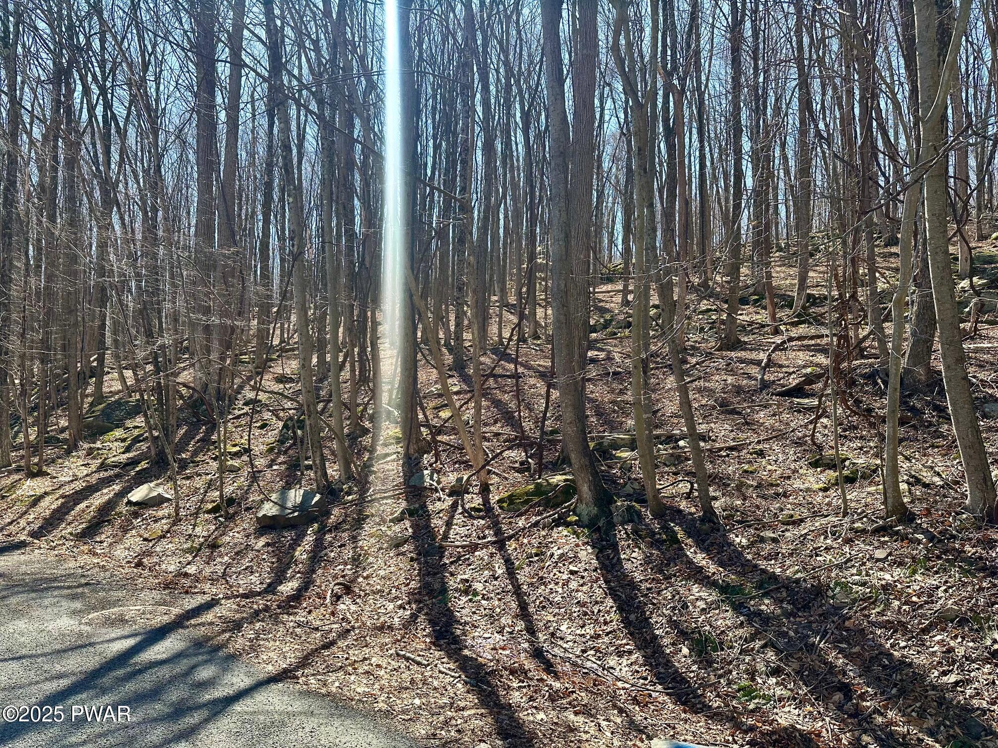 Lot 144 Sheridan Road Hawley, PA 18428 - Photo 2 of 14 Gallery Image 2