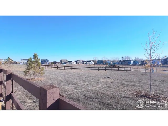a black and white photo of a park