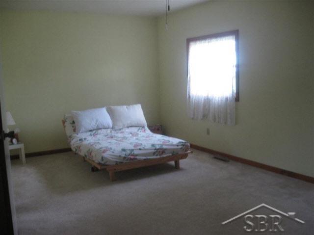 10450 Garfield Road Freeland, MI 48623 - Photo 4 of 5 20066197-5.JPG