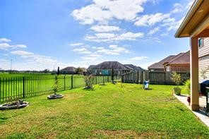 2723 Intrepid Trail Rosenberg, TX 77471 - Photo 28 of 30 sections. It's the perfect spot to fire up the grill and do some outdoor entertaining!
The backyard has plenty of green space for all your favorite outdoor activities.