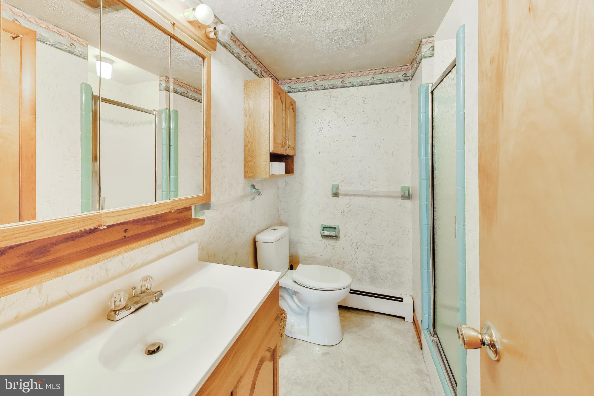 3904 Overlook Lane Monrovia, MD 21770 - Photo 38 of 54 a bathroom with a sink mirror vanity and toilet