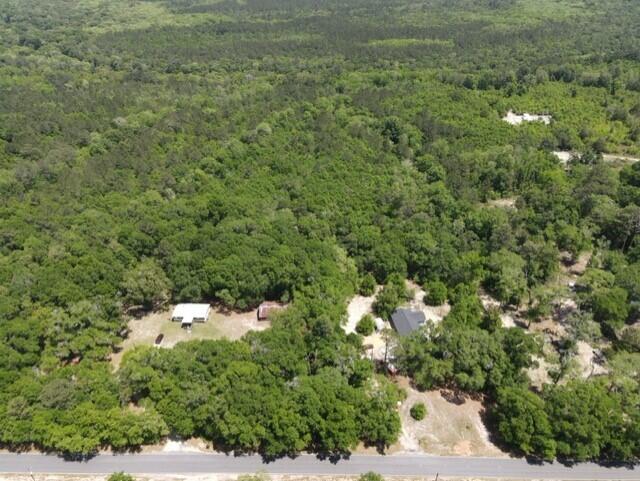 Tbd 37-ac Old River Road Baker, FL 32531 - Photo 38 of 41 a view of a forest with a houses