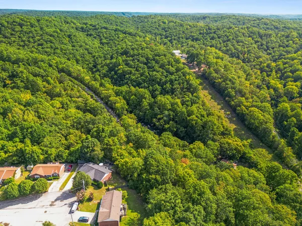 an aerial view of residential houses with outdoor space and trees