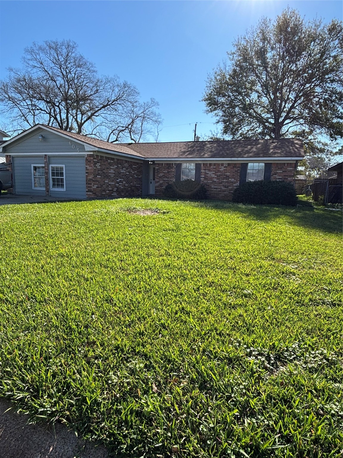 a view of a backyard with a large tree