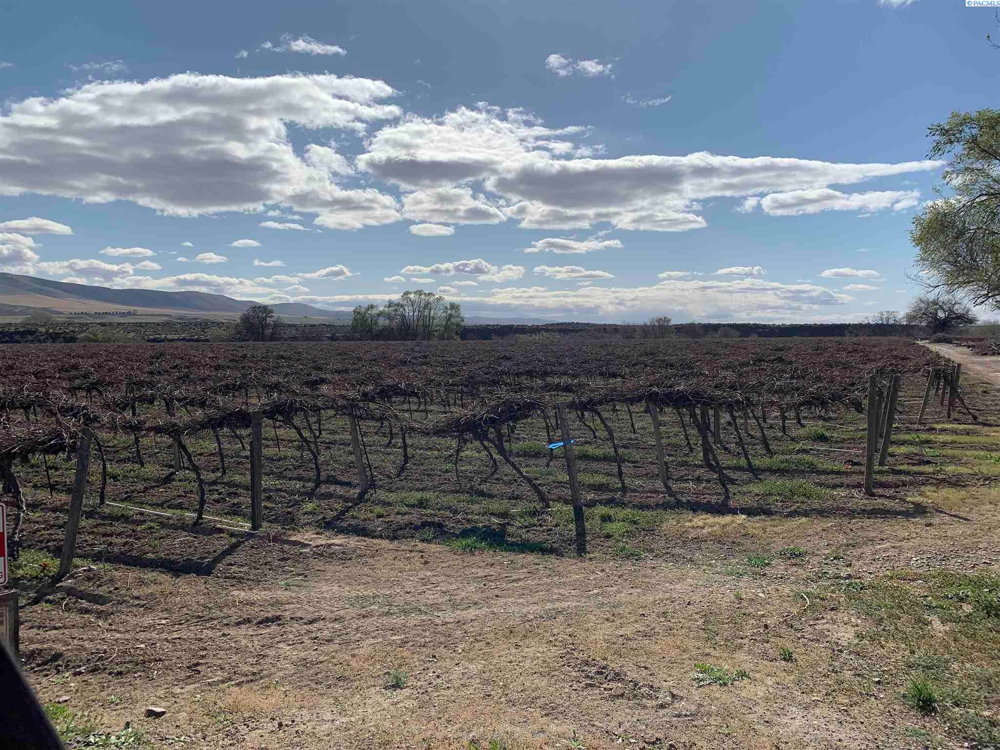Tbd Lower County Line Road Prosser, WA 99350 - Photo 8 of 8 Gallery Image 8