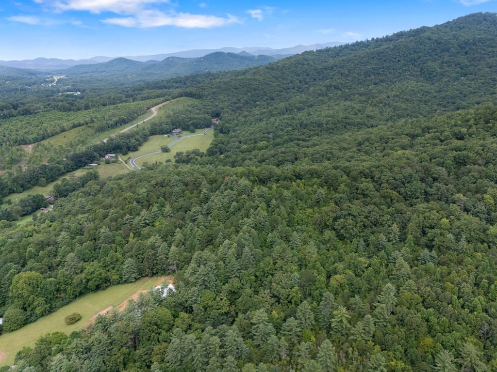 115 Ash Loop Road Hayesville, NC 28904 - Photo 16 of 37 a view of a lush green forest with lush green forest