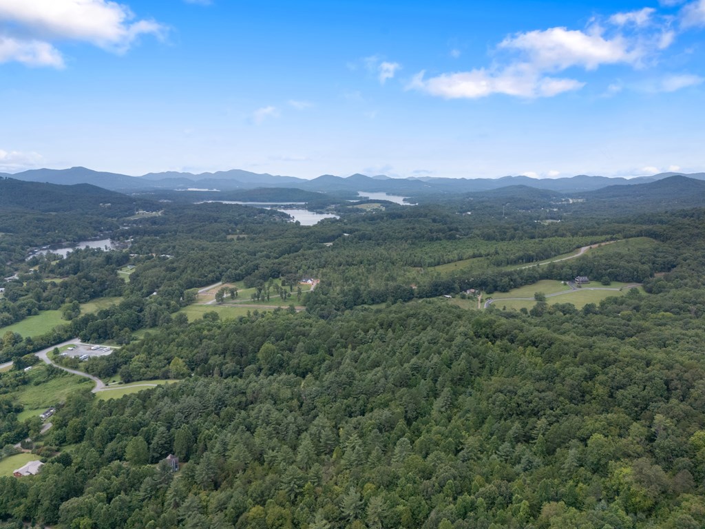 115 Ash Loop Road Hayesville, NC 28904 - Photo 26 of 37 a view of a lush green forest with mountains in the background