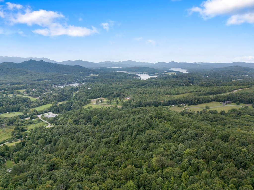 115 Ash Loop Road Hayesville, NC 28904 - Photo 28 of 37 a view of a lush green hillside and a building in the background