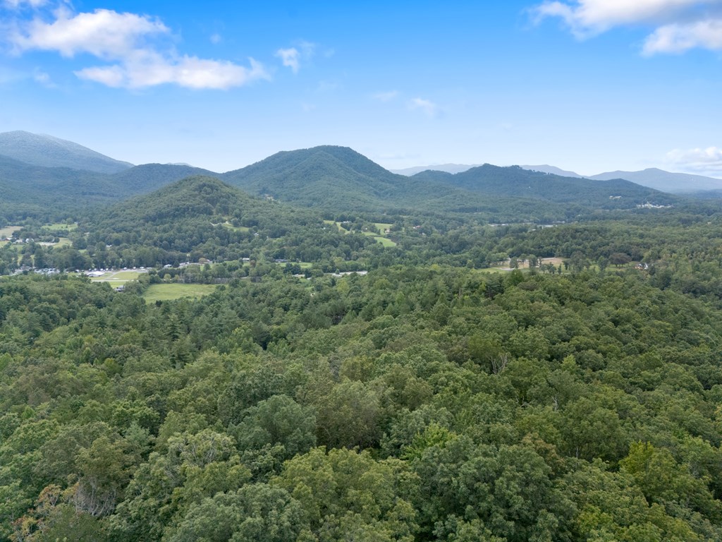 115 Ash Loop Road Hayesville, NC 28904 - Photo 30 of 37 a view of a mountain range with lush green forest
