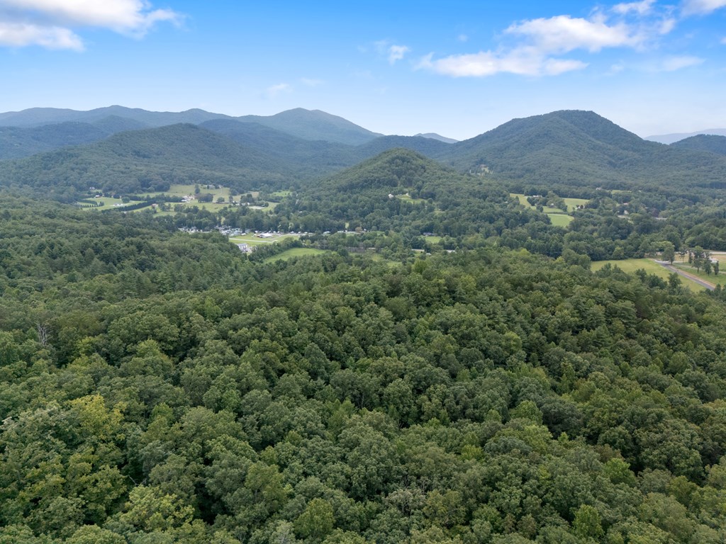 115 Ash Loop Road Hayesville, NC 28904 - Photo 32 of 37 a view of a forest with mountains in the background