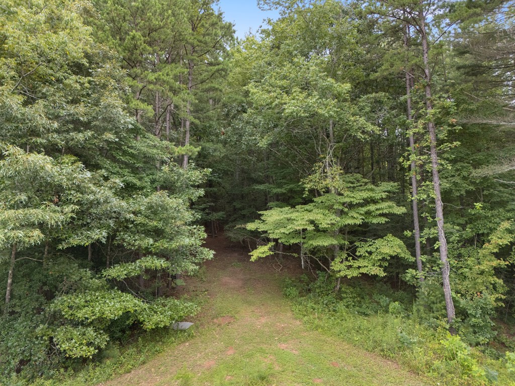 115 Ash Loop Road Hayesville, NC 28904 - Photo 37 of 37 an aerial view of a house with a yard