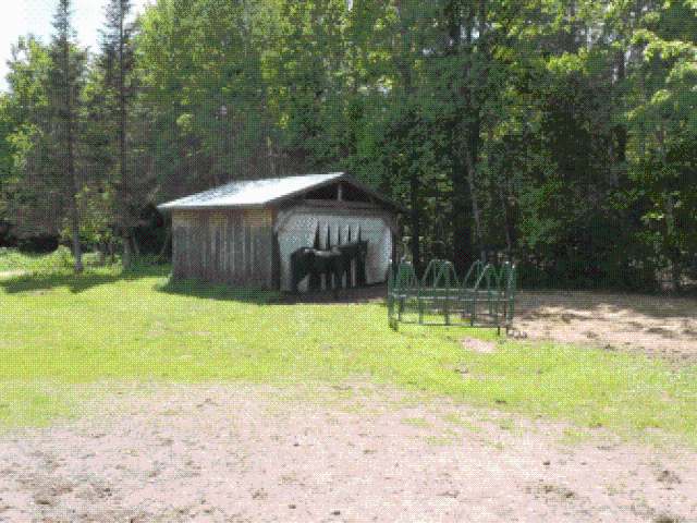 W8091 Seifert Road Fifield, WI 54524 - Photo 8 of 20 Gallery Image 8