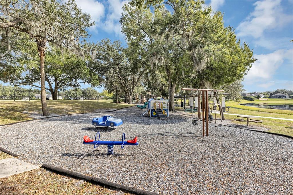 1816 Cherry Ridge Drive Lake Mary, FL 32746 - Photo 56 of 64 a view of a park with large trees