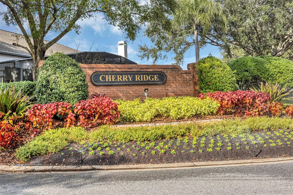 1816 Cherry Ridge Drive Lake Mary, FL 32746 - Photo 61 of 64