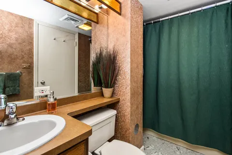 a bathroom with a sink a toilet and shower