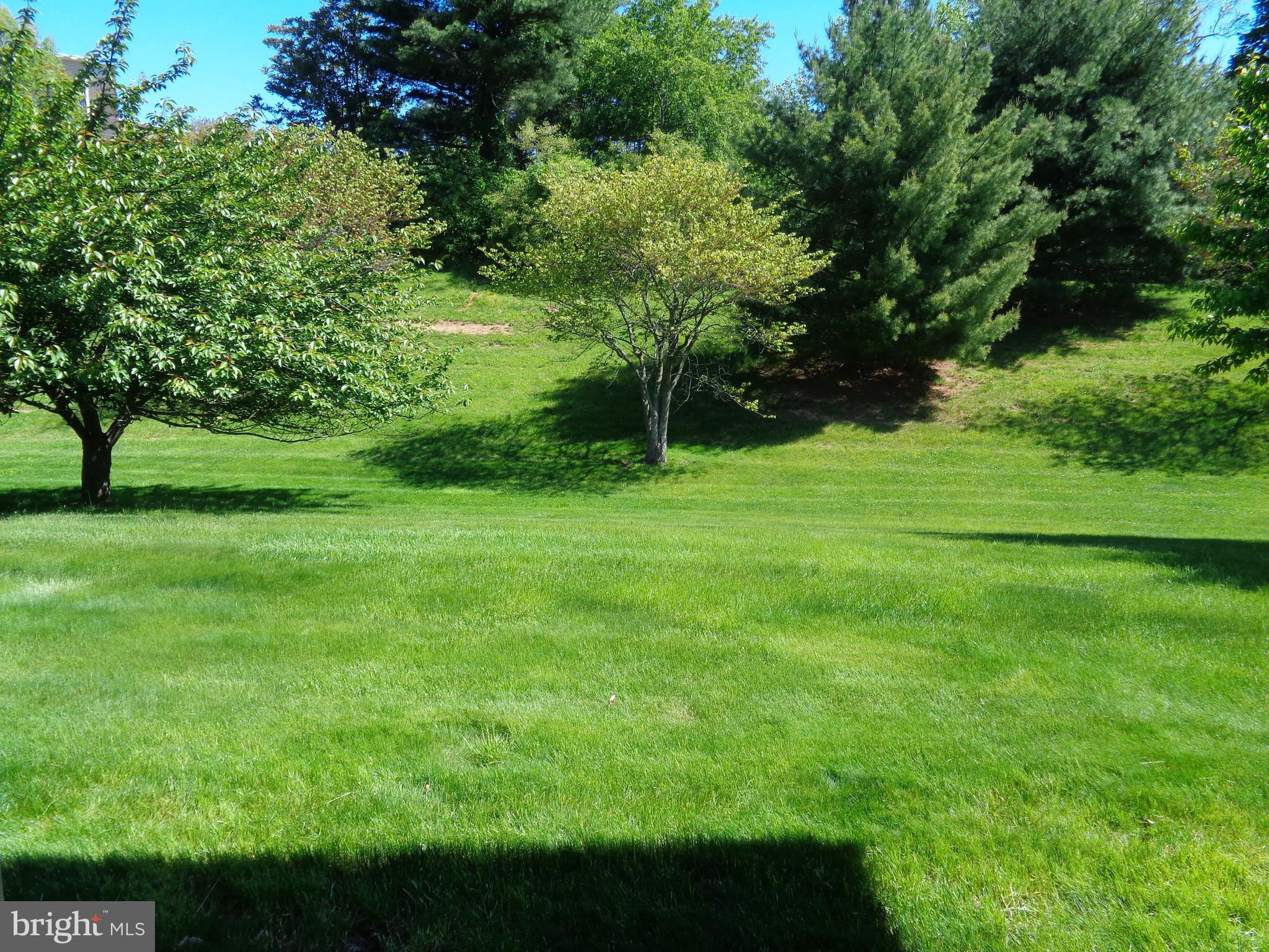 61 Old Cedarbrook Road Wyncote, PA 19095 - Photo 21 of 23 rear