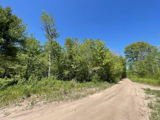 0 Aylsworth Road Beulah, MI 49617 - Photo 7 of 7