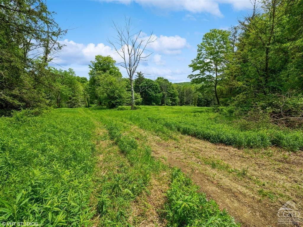 0 Skunks Misery Road Millerton, NY 12546 - Photo 11 of 12 a view of a lush green space