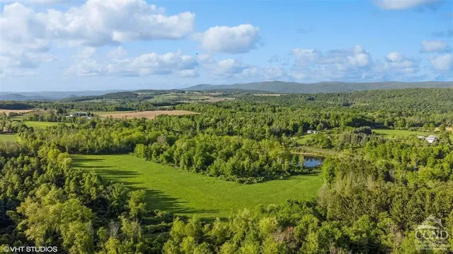 a view of a lush green forest with a lake