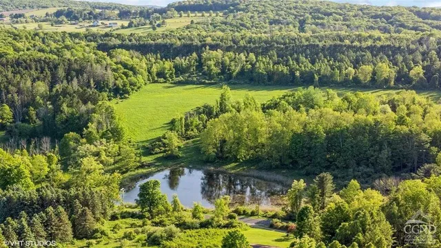 a view of a lake with a city
