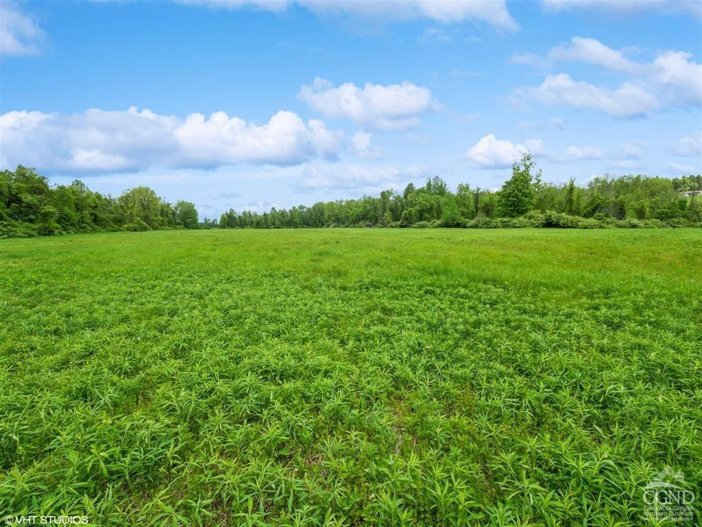0 Skunks Misery Road Millerton, NY 12546 - Photo 6 of 12 a view of a green field with lots of green space