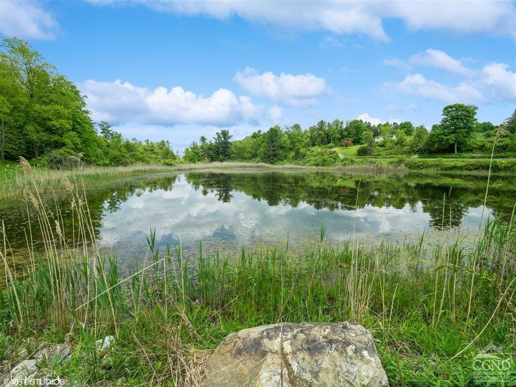 0 Skunks Misery Road Millerton, NY 12546 - Photo 7 of 12 a view of lake