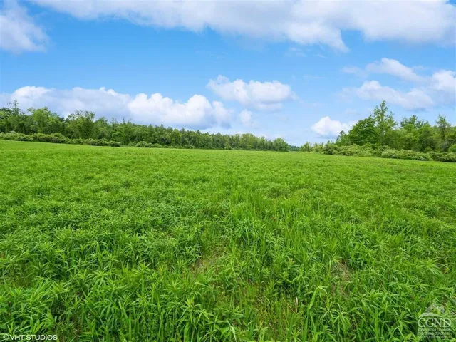 a view of a city with lush green forest