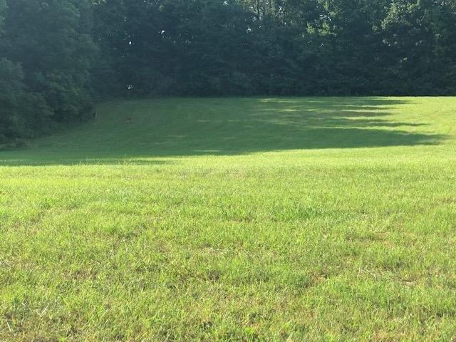 9999 Wyan Road, Unit LOT D London, KY 40744 - Photo 26 of 27 Photo 27