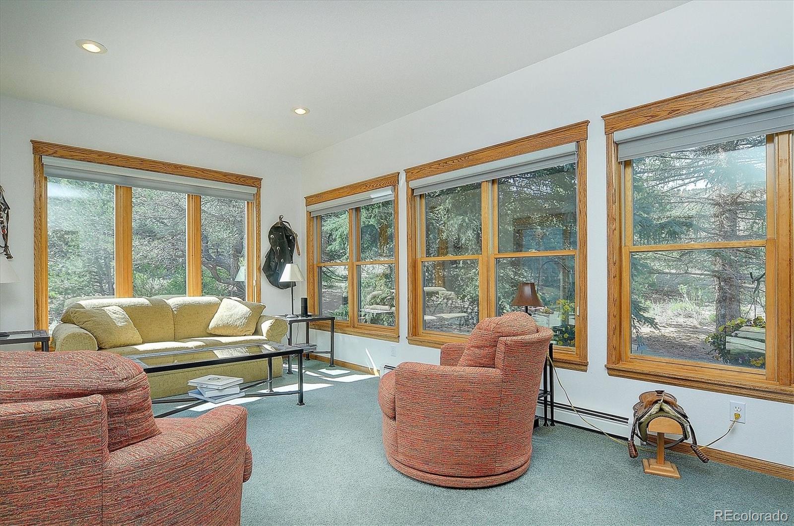 7221 County Road Salida, CO 81201 - Photo 13 of 42 Gallery Image 13