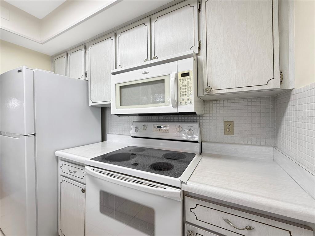 1701 Pinehurst Road, Unit 2F Dunedin, FL 34698 - Photo 8 of 29 Gallery Image 8