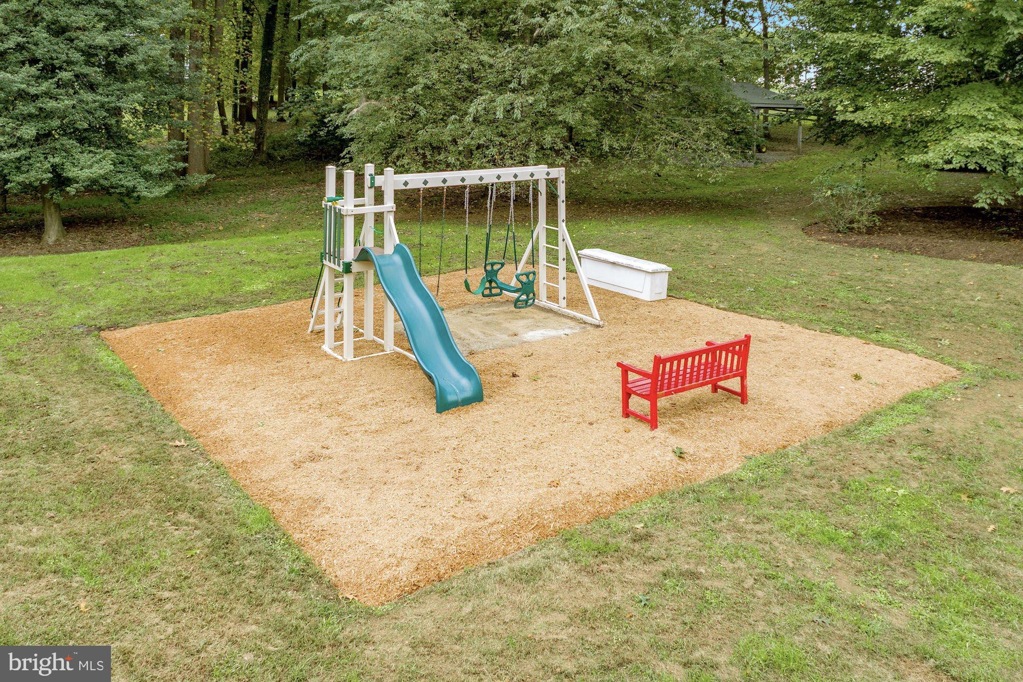 337 Springvale Road Great Falls, VA 22066 - Photo 110 of 120 Playground Space
