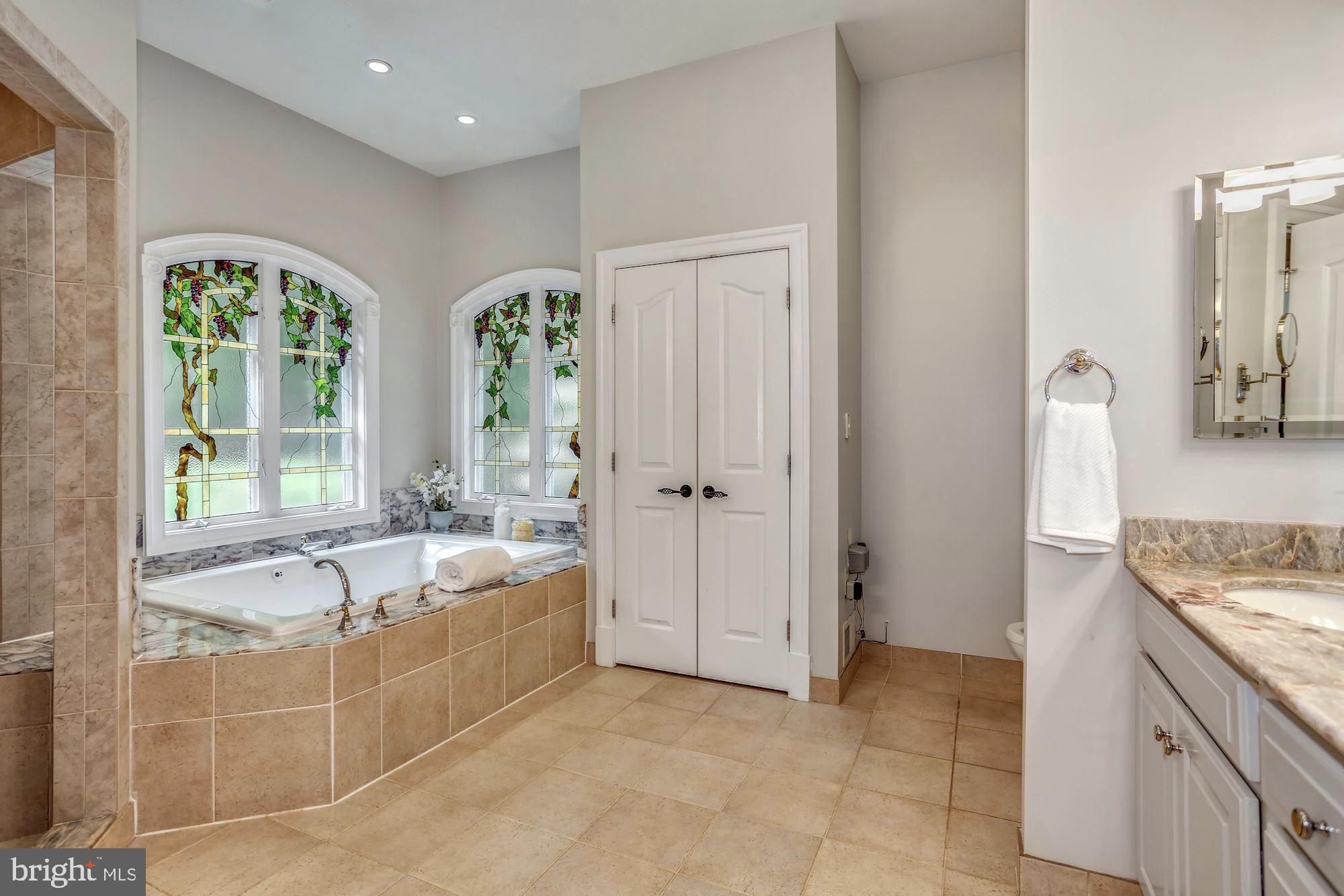 337 Springvale Road Great Falls, VA 22066 - Photo 42 of 120 a spacious bathroom with a granite countertop tub shower and mirror