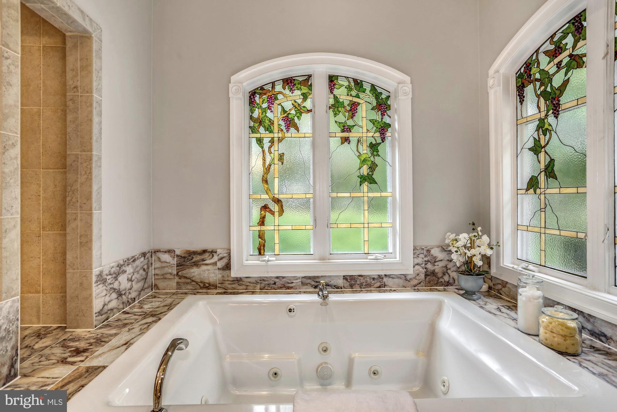 337 Springvale Road Great Falls, VA 22066 - Photo 43 of 120 a white bath tub sitting in front of a window