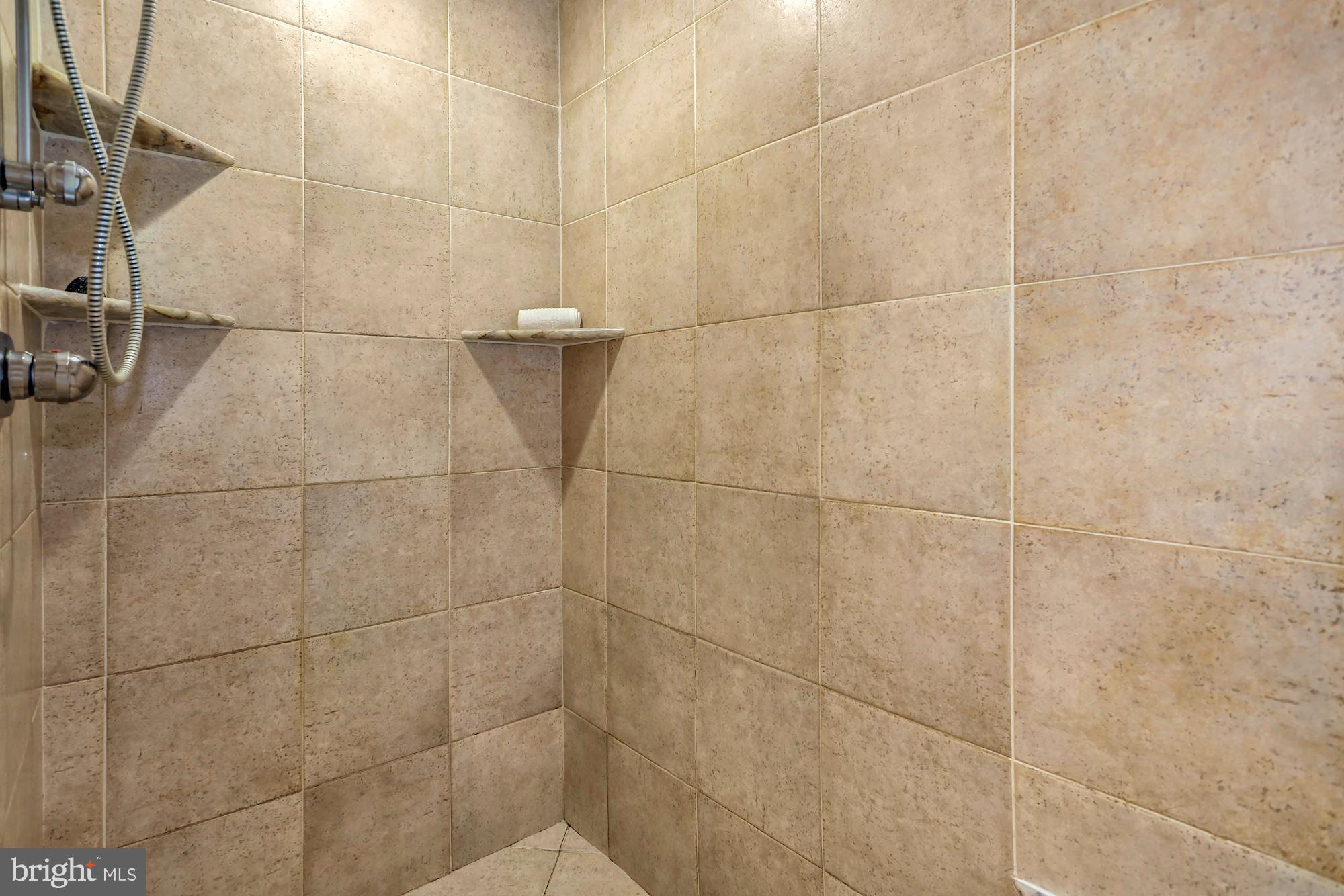 337 Springvale Road Great Falls, VA 22066 - Photo 45 of 120 Walk-in shower