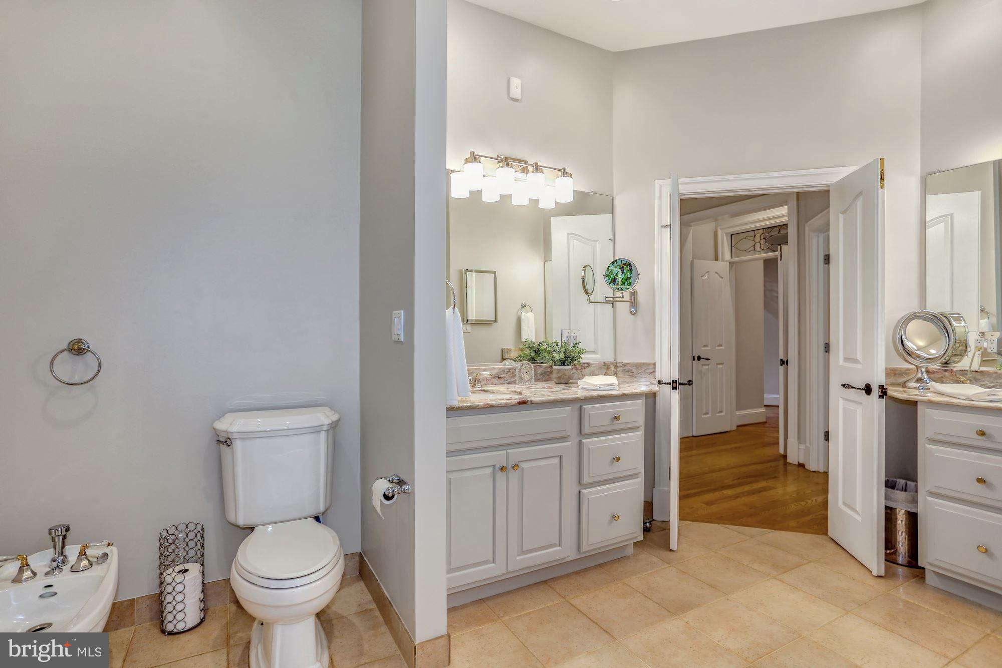 337 Springvale Road Great Falls, VA 22066 - Photo 46 of 120 Primary suite
